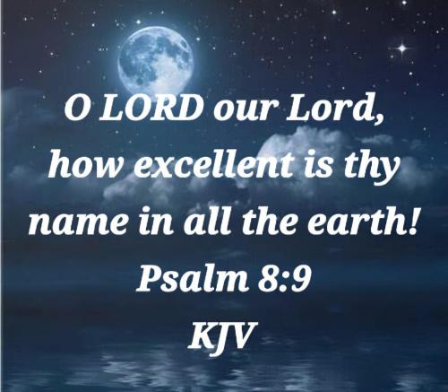 f6a2f6e0-65bb-44ed-a5be-01ed67776f68