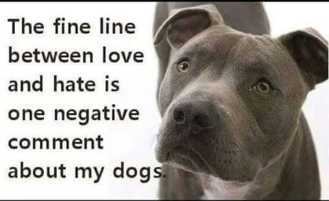 77fd55afa4d3718c346e39309fcdbd0c