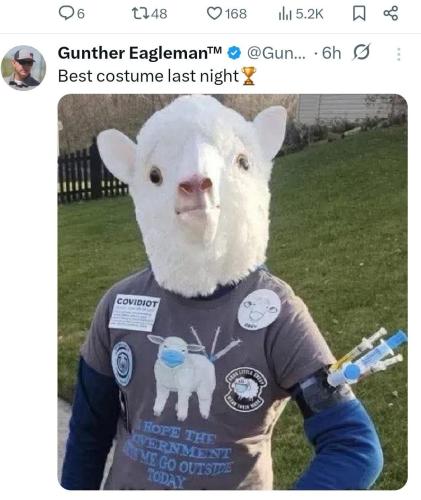 IMG_20251101_141325_896