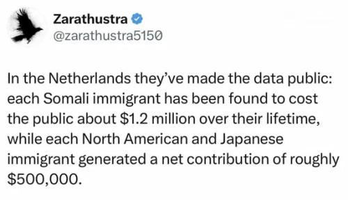 netherlands-immigrant-cost