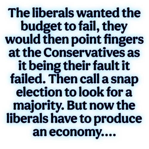 wanted the budget to fail