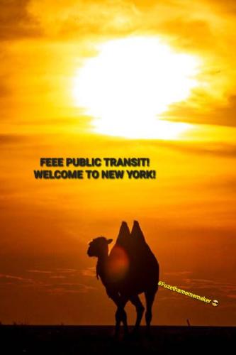 nice-meadow-grass-with-camel-in-mongolia