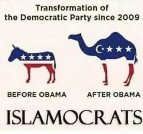 image_2025-11-16_094037361