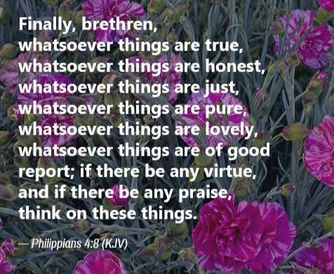 a8cd294f-09a8-4357-b2f4-03ed6fd1682b