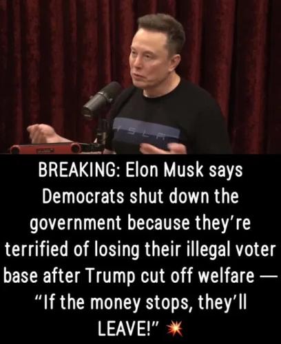 ELON MUSK SANCTUARY CITIES