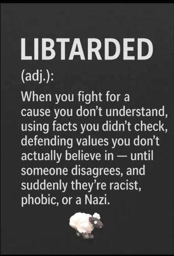 IMG_20251103_110315_937