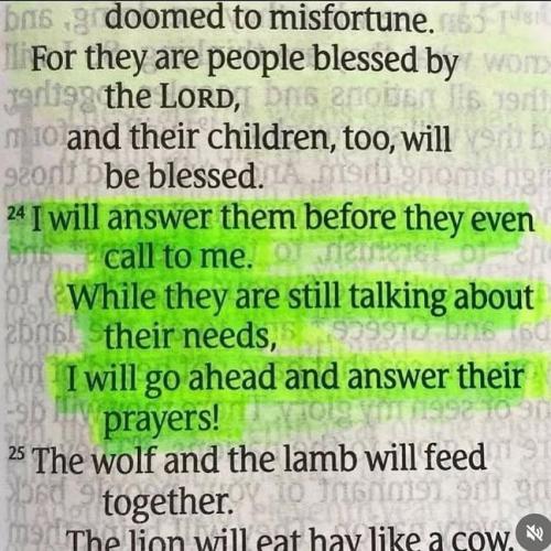 IMG_20251127_184343_436