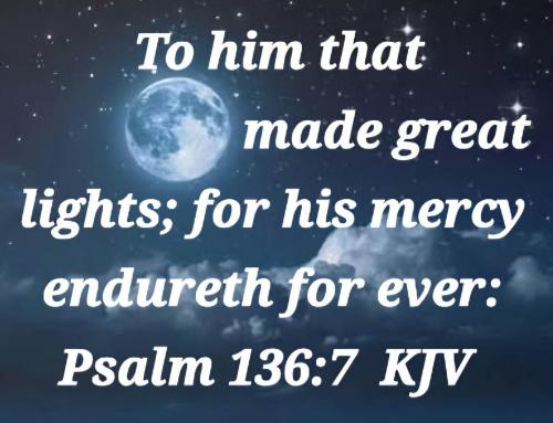 cd8a5e12-cc0a-448d-9484-b880374439bc