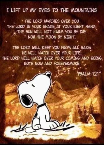 ec88b2c02f96ebaa56d6028a01bfd47b