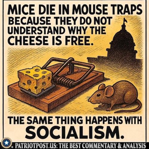 01K9WHYDECJP19VAXQH56W2JW0