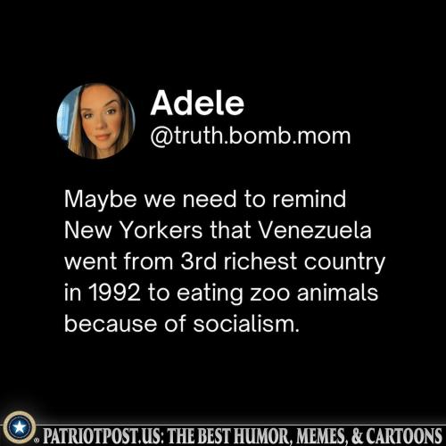 01K9NTZNTP1J2YXRR1A327MBY4