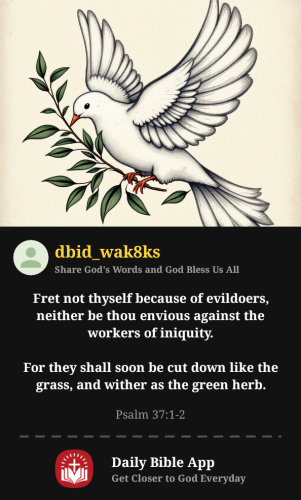 2025-11-211763754634932