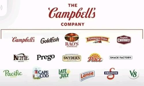 Screenshot_20251126_062447_TikTok