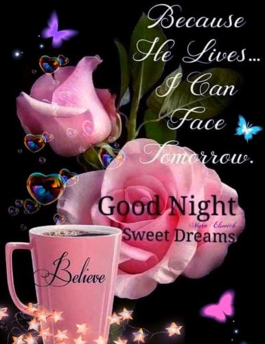 585558364_868262795680264_2855959072900925680_n