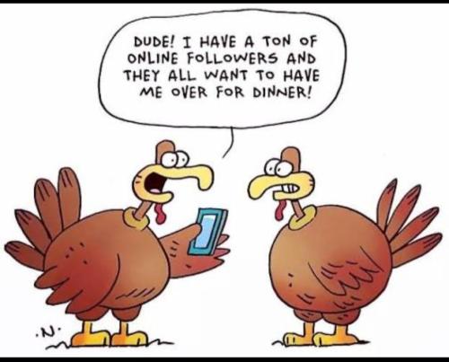 Screenshot_20251126_221337_X