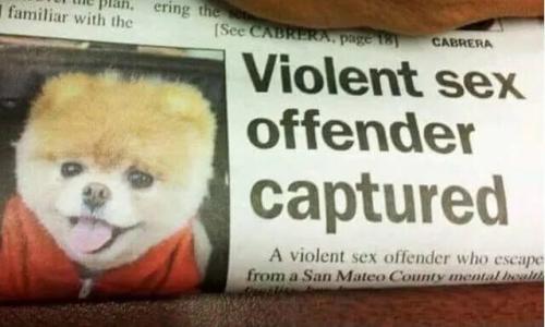 violent-sex-offender