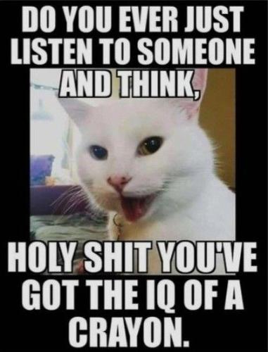 fc31550aead11900fbd5b613a4857e37