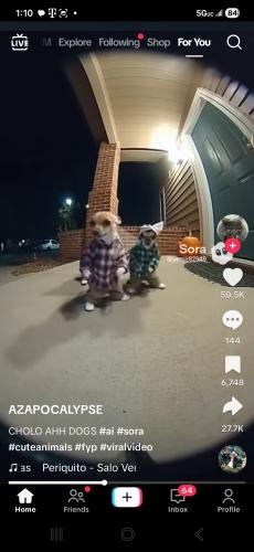 Screenshot_20251110_131049_TikTok