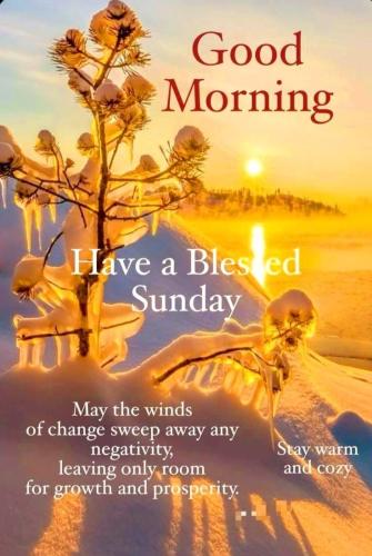 9ad58a53d73a3703fdcb72236109b8f6