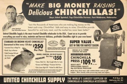 tumblr_6372a35c7d811bbee9092f3b6d0dda11_3a22947f_540