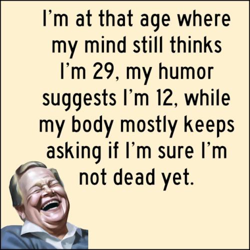 01KAV4QTV1TTEM5FZBRP6964TY