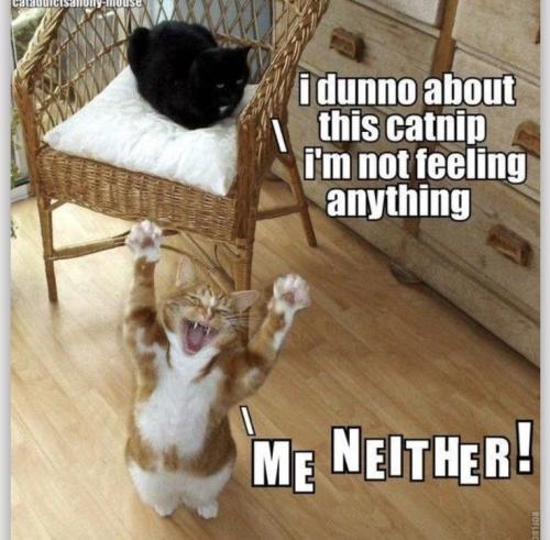 029580d3385af862161fbeb3dde9dfaa