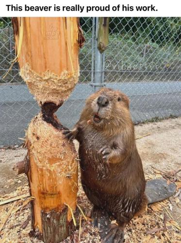 main-qimg-acd6c12c13274aff2be3c80811132000