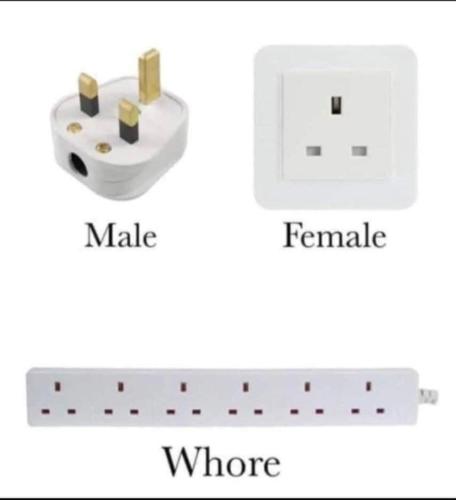 image_5EF9A2DC-40B5-4B65-BAFA-A106448D7907