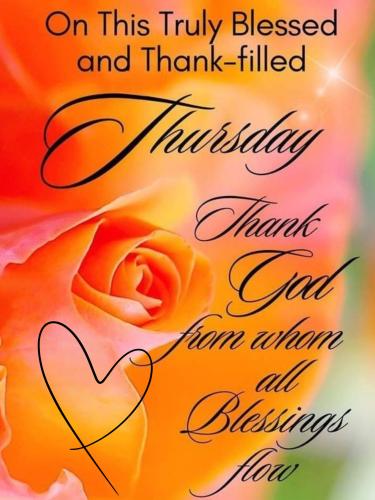 576377328_848932284307786_7872727932242252091_n