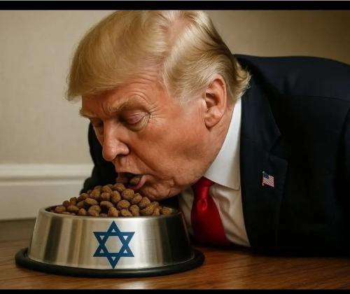 Screenshot_20251129_144825_Chrome~2