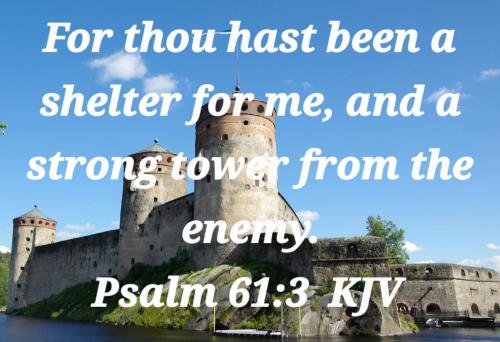 41dc1711-cb38-4c31-b128-2103bf4ea2ed