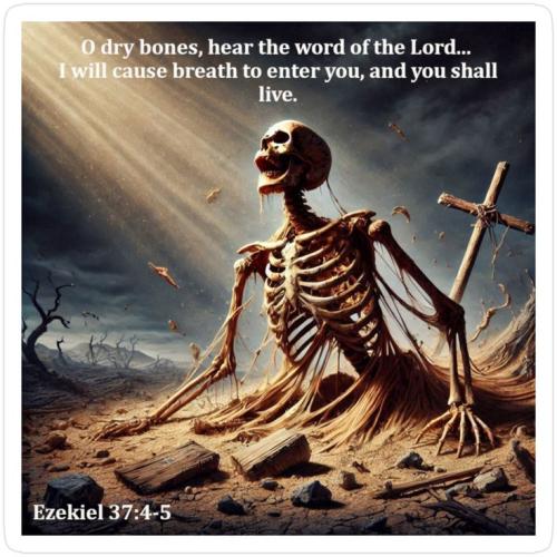 d6d882ef61bc1c82ff7d141b2d962de5