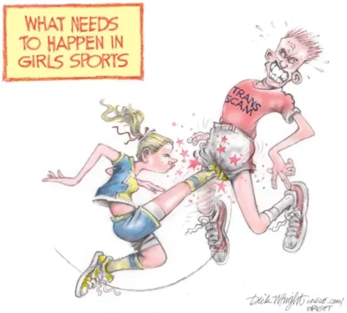 image_2025-11-23_090622434