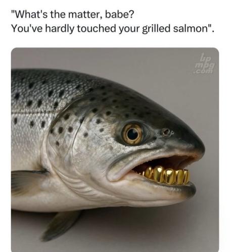 main-qimg-e997c9fe7e08be5e411152942a72235a