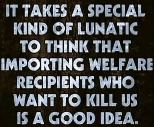 IMG_20251102_023320_081