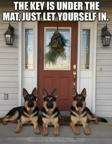 813308cac523a8fafe87b8999f8fef59