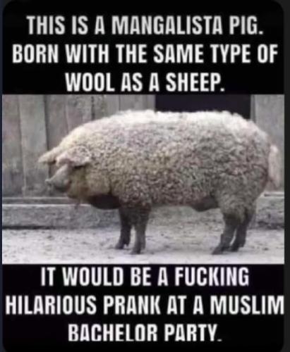 2201716b-a359-49f0-90ca-387a6848b5a6