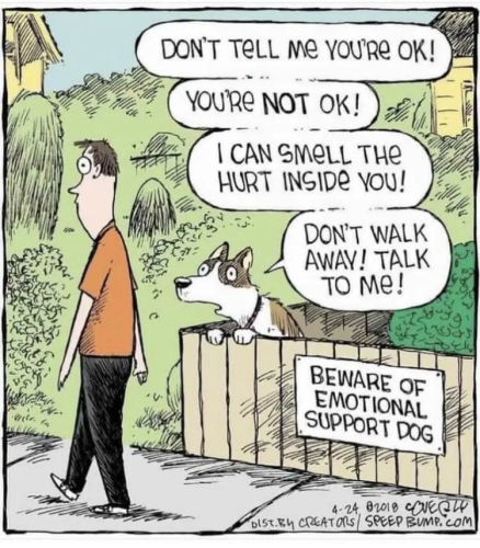 emotional-support-dog