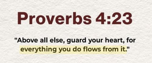 IMG_20251127_183624_172