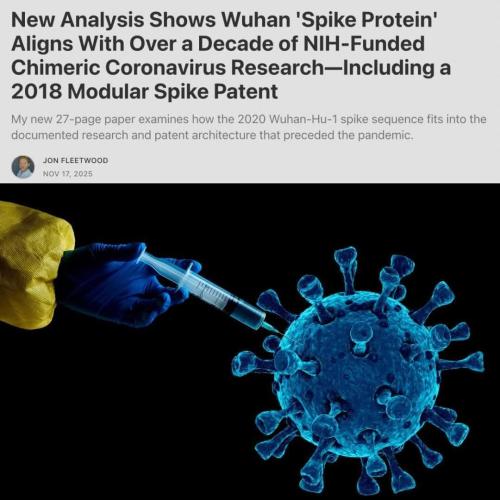 FB_IMG_1764138678881