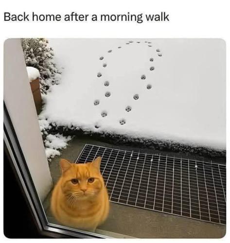 IMG_20251111_131835_274