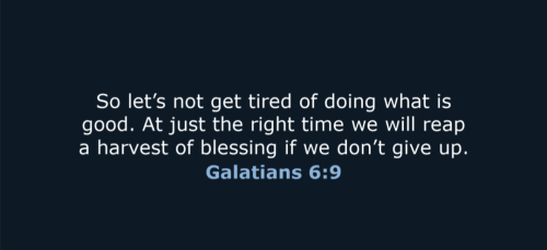 Screenshot_20251121-184345-525