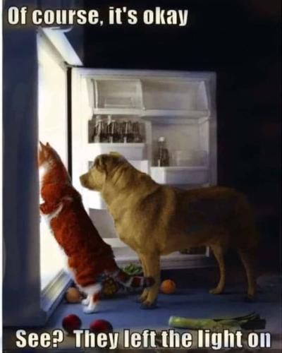 e6a337b110f9c6a8b9127424f8d51fde