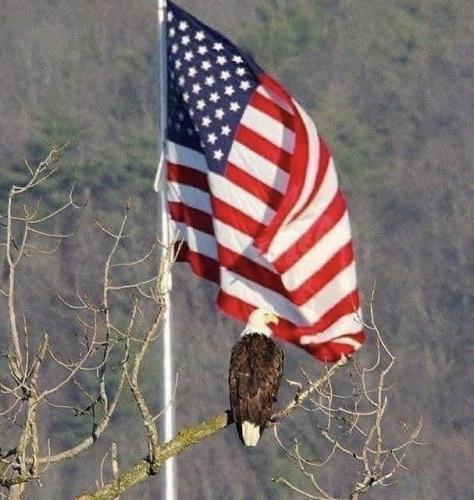 4a0c8f9b-ad48-4f5b-ac3a-be4f2d9b225b