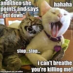 82523cf249843ee5479654e3128f0516