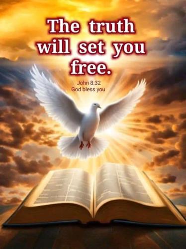 IMG_20251122_195628_224