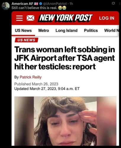 tsa-agent-hit-testicles