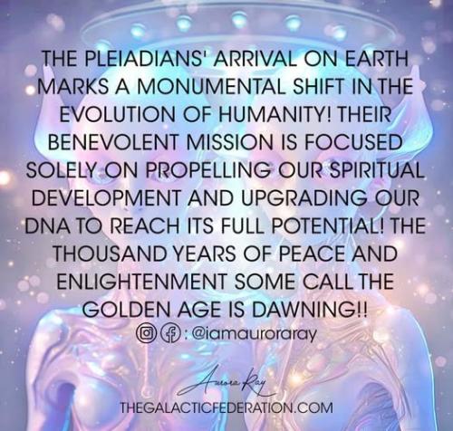 ,     ,       273410949_71196934381