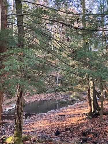 46B0E02B-C2D0-4185-A37E-AFF6BC9FF768