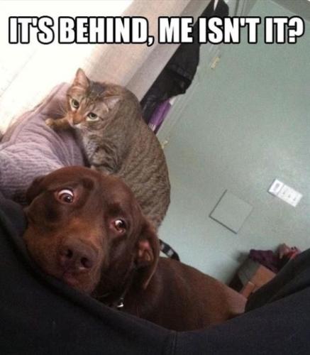 889e61c7cd9e4e5dc1df90063eaf4693